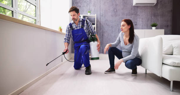 Best Pest Prevention Services  in Dennison, OH